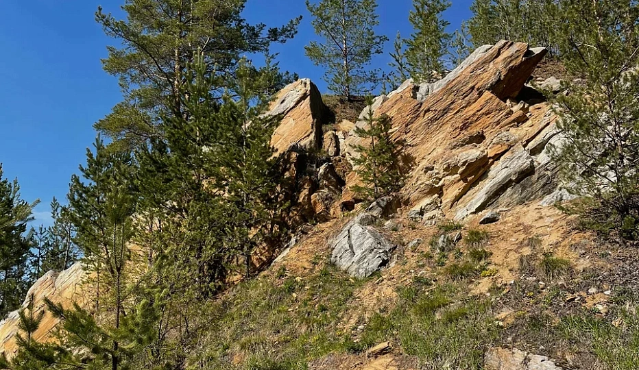 Земельный участок площадью 0,1500 га - Камышево