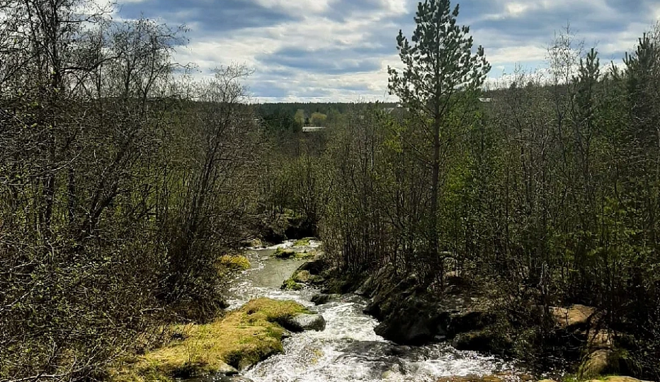 Земельный участок площадью 0,1500 га - Камышево